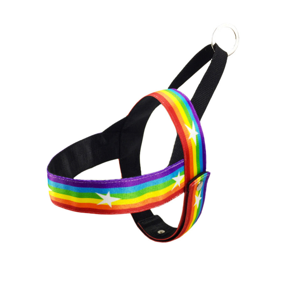 Rainbow dog leashes