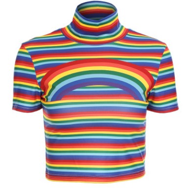 RAINBOW TURTLENECK MOCKNECK CROP TOP