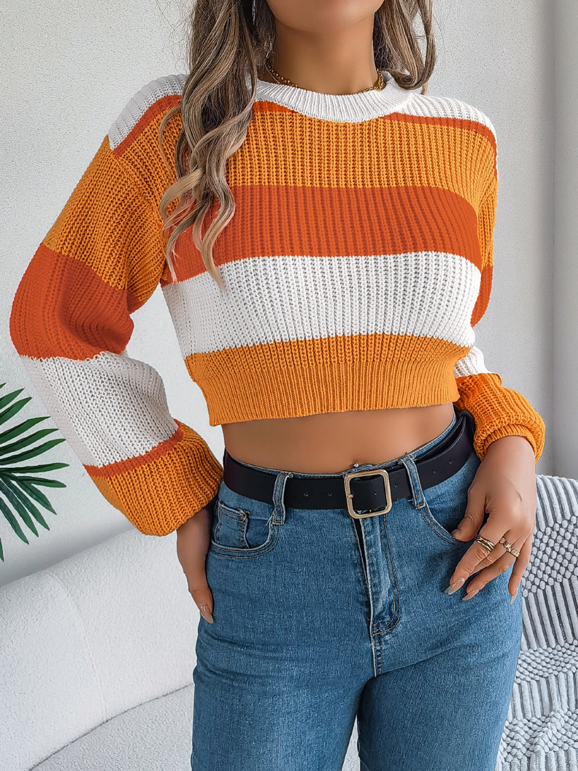 Striped Color Block Round Neck Cropped Sweater